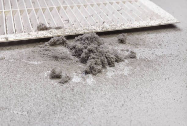 Best Affordable Air Duct Cleaning  in Benton Heights, MI